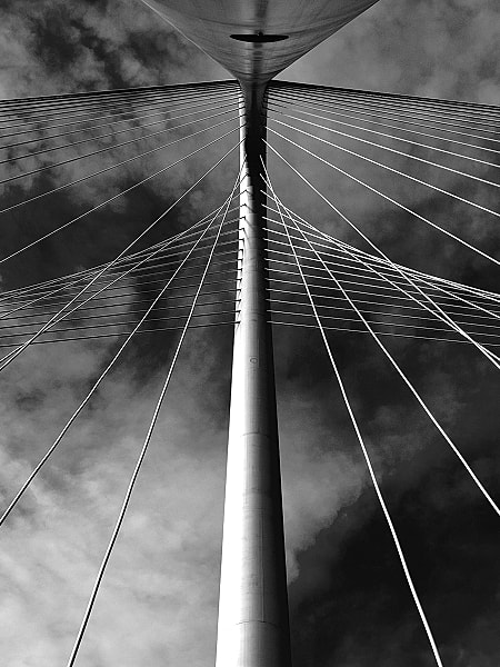 Black and white view of bridge cables and tower.